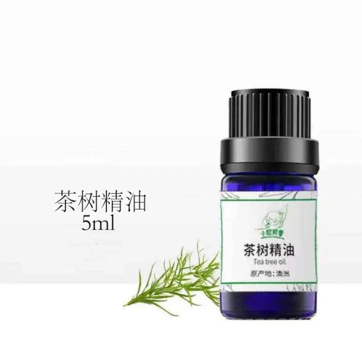 茶树精油单方精油5ml瓶装芳香护肤
