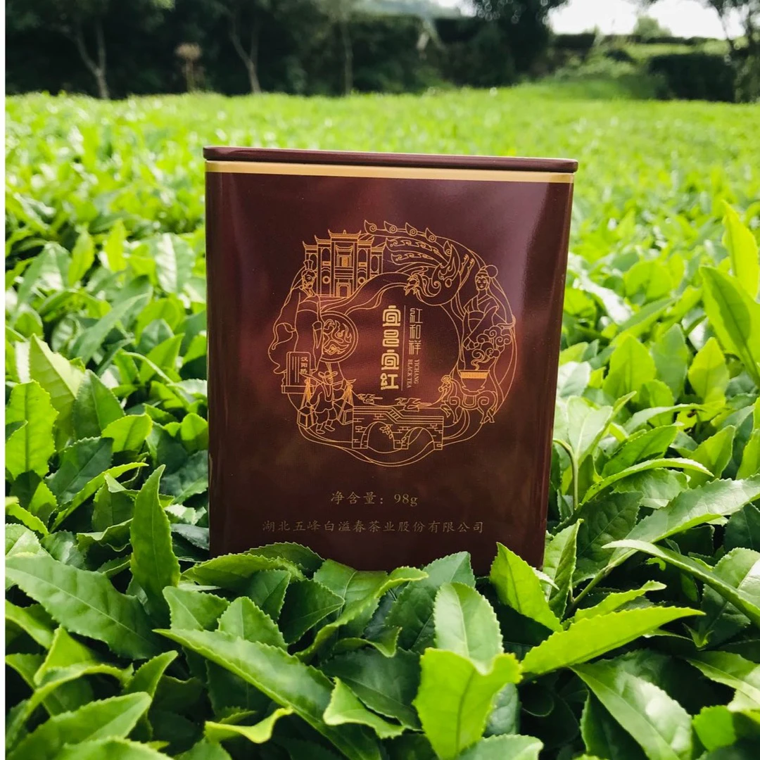 五峰采花台高山红茶宜红功夫茶 宜昌宜红茶叶红茶茶业耐冲泡
