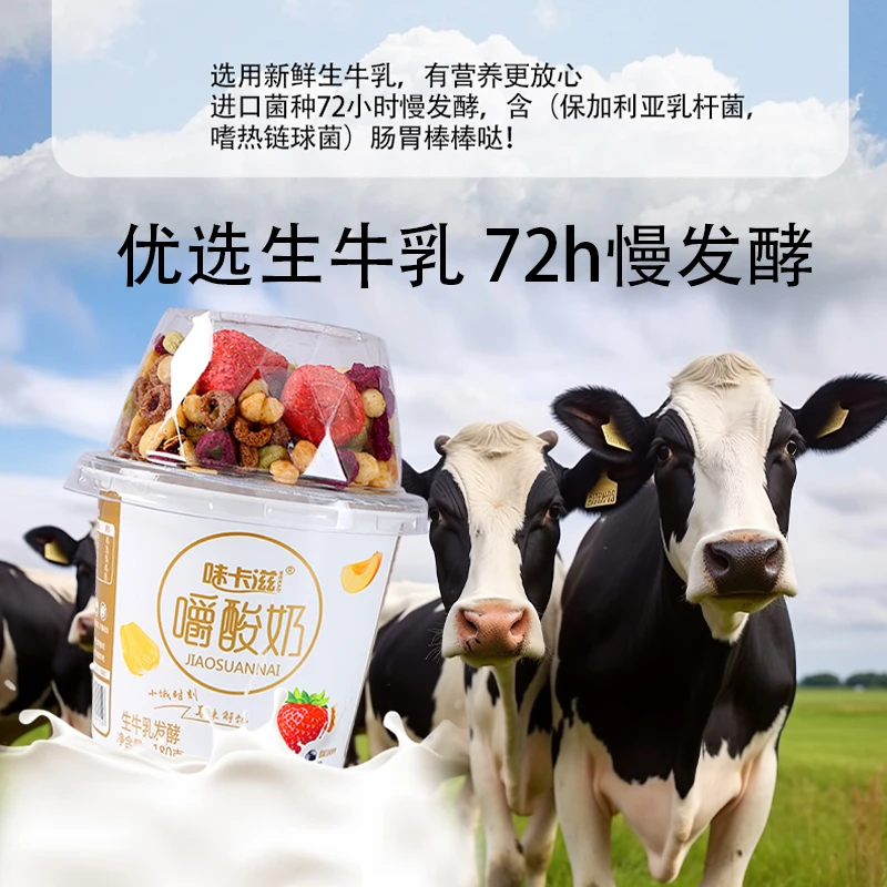 味卡滋生牛乳发酵味卡滋嚼酸奶常温酸甜营养代餐6杯装内蒙包邮