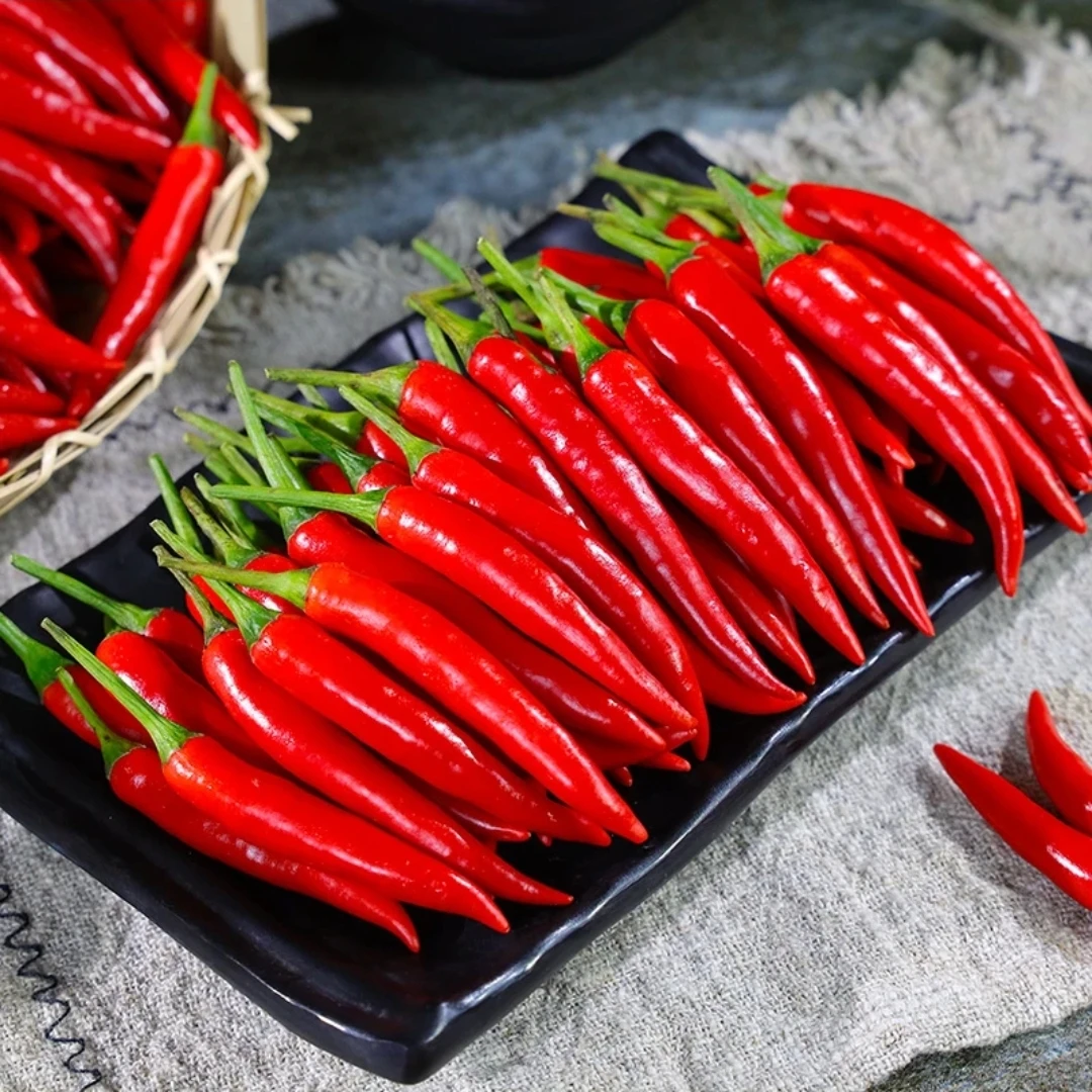 【怀四方】河南本地新鲜特辣小米椒指天椒