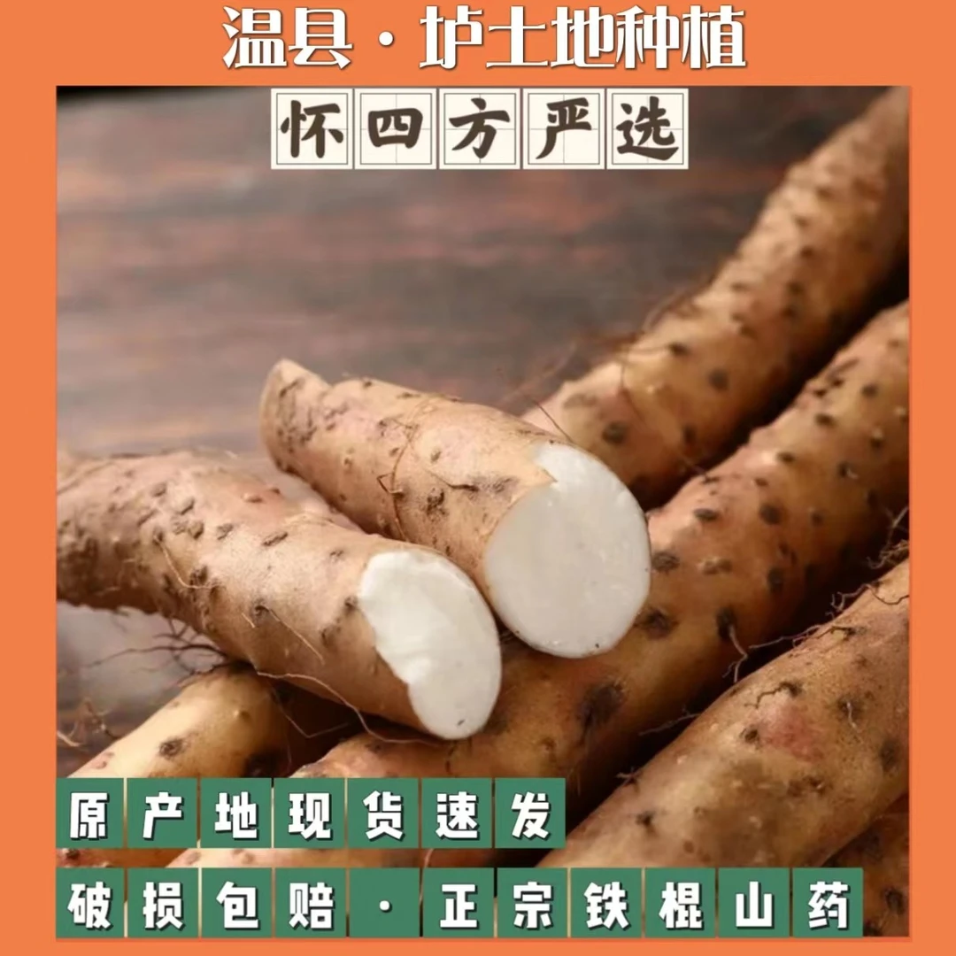 温县垆土铁棍山药怀山药鲜山药3斤/5斤原产地发货