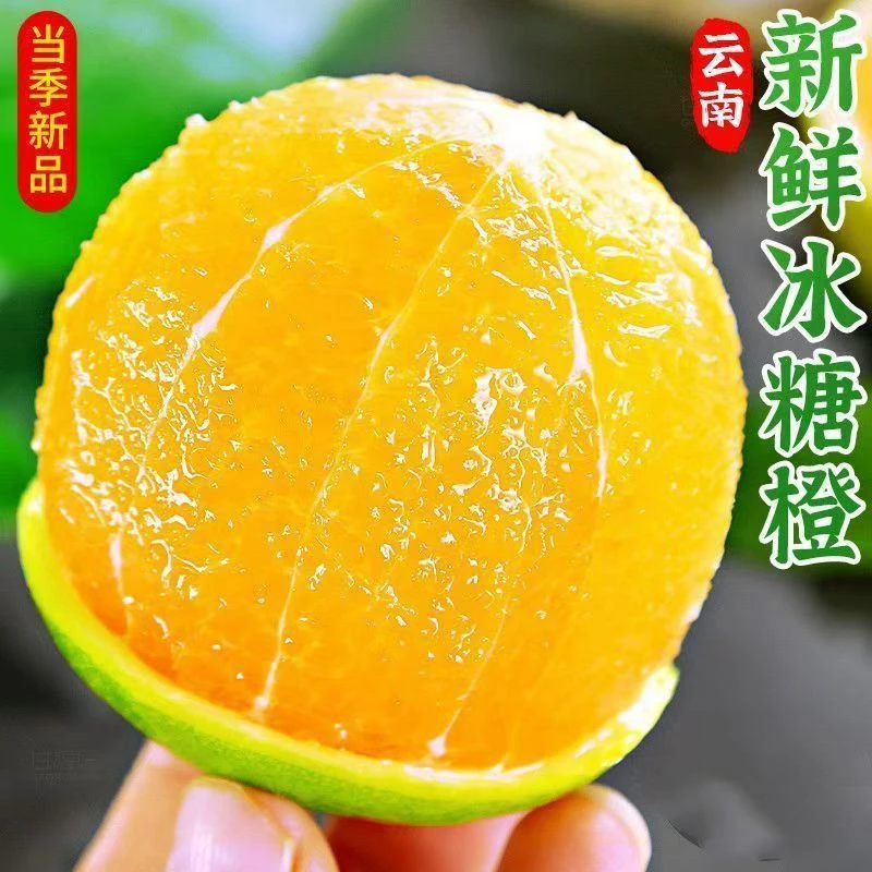 冰糖橙云南哀牢山当季新鲜水果青皮清甜多汁皮薄肉厚香甜高山种植