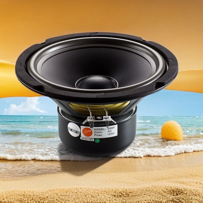 惠威扬声器专卖店/全新正品惠威SS8R低中音扬声器/专卖店直发/只