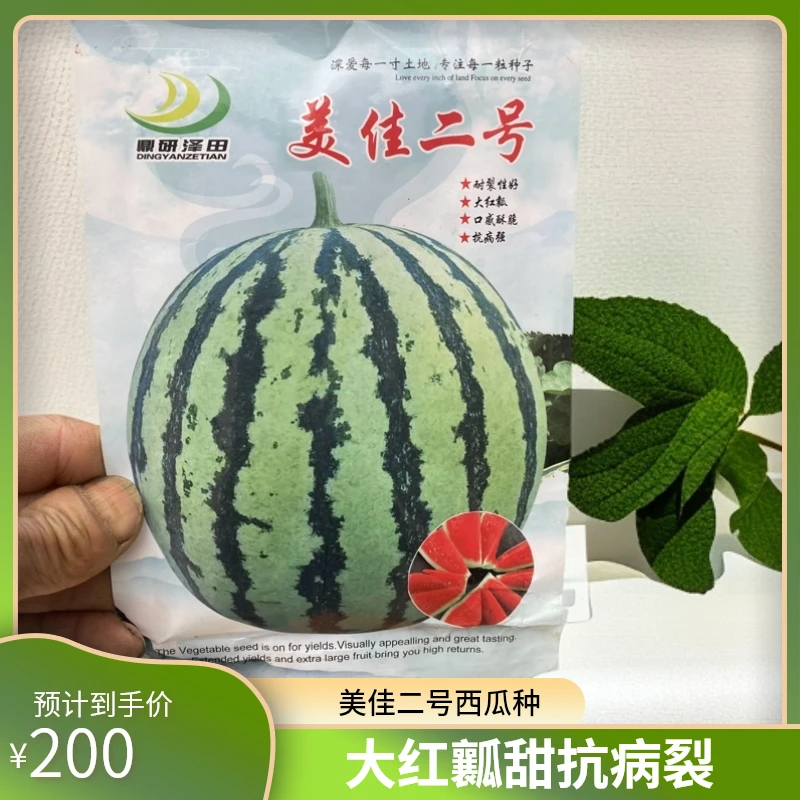 美佳二号优良西瓜种子 坐果率个 大红瓤无丝无渣甘甜可口抗病抗裂