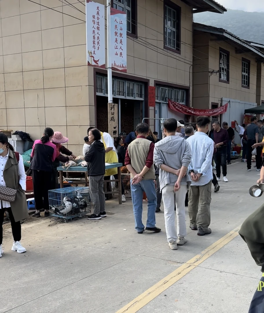 点洋村代购集市农产品笋蔬菜等