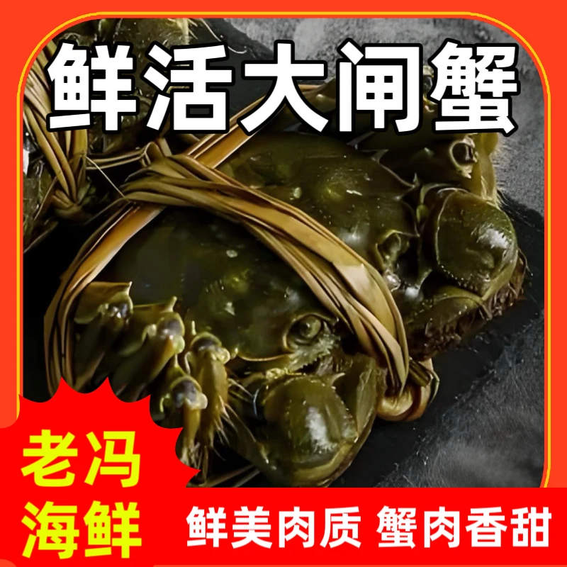 【活蟹·保黄】大闸蟹1.8-2.2两 母蟹1只  【鲜活大闸蟹】