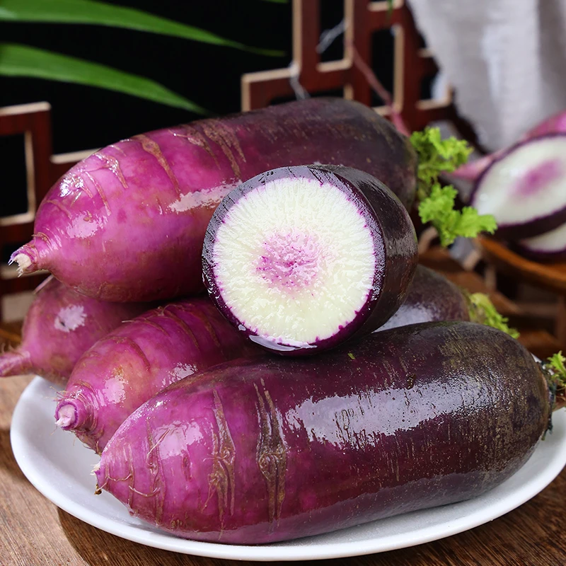 山东冰激凌萝卜水果萝卜5斤装 新鲜现拔