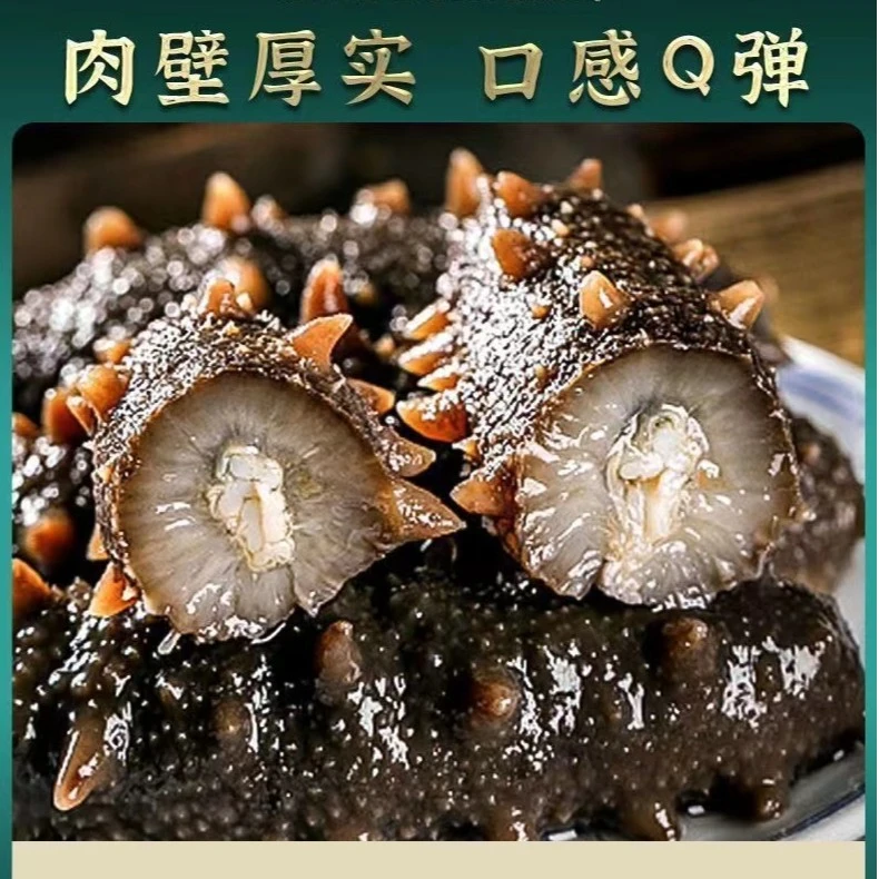 【鲜食海参】帝王参大连辽刺参海参  一斤/6根/8根/10根5斤