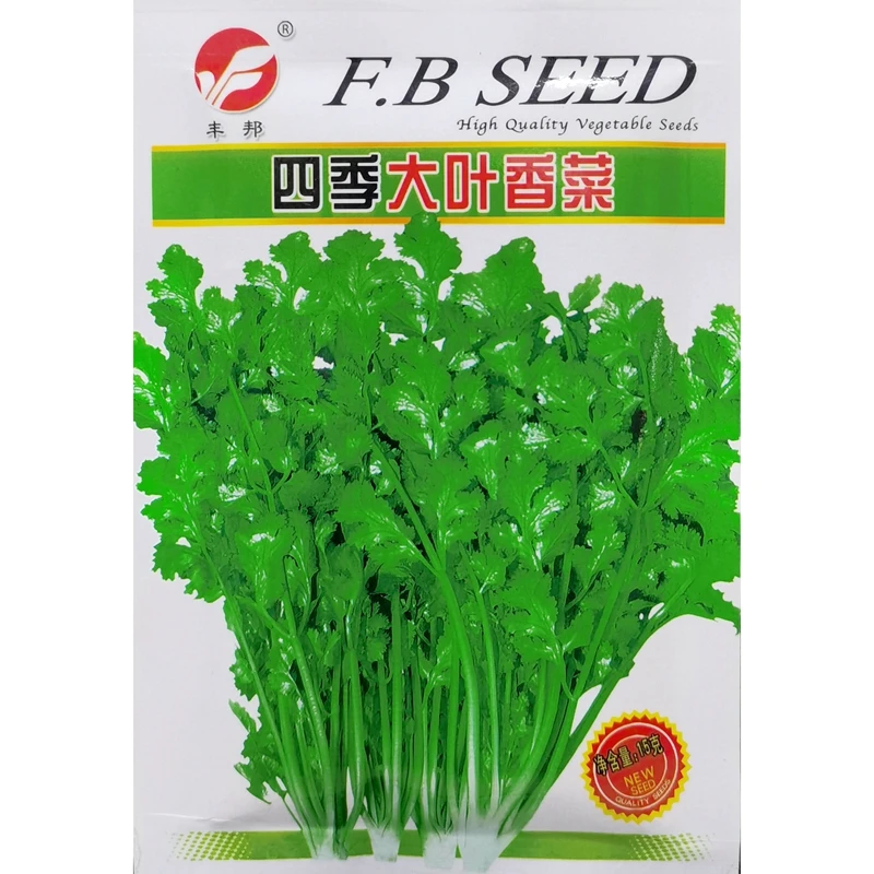 大叶香菜种子大叶芫荽种子蔬菜种籽绿丰园种子四季播15克约800粒