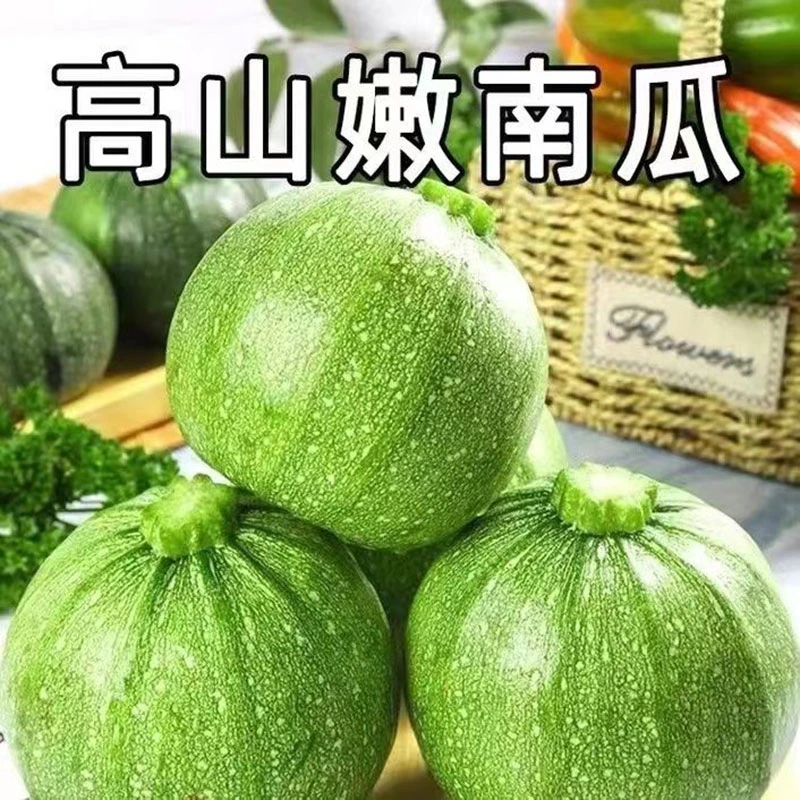 素瓜豆贵州大山农家四季豆小南瓜新鲜现摘加冰袋泡沫箱发货5斤装
