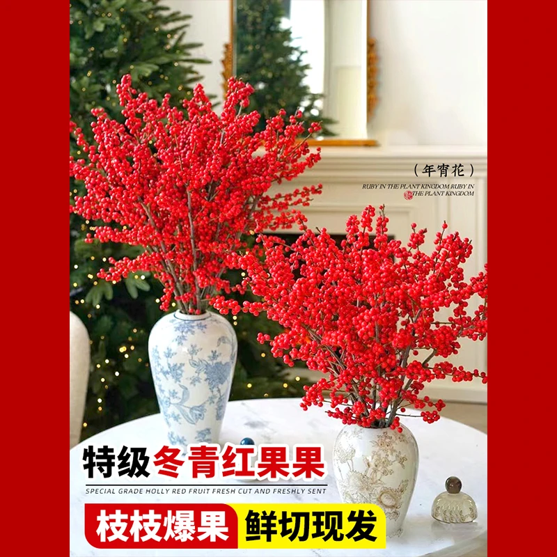 北美进口红果果鲜切花卉冬季水培植物室内鲜花耐寒盆栽干枝年宵花