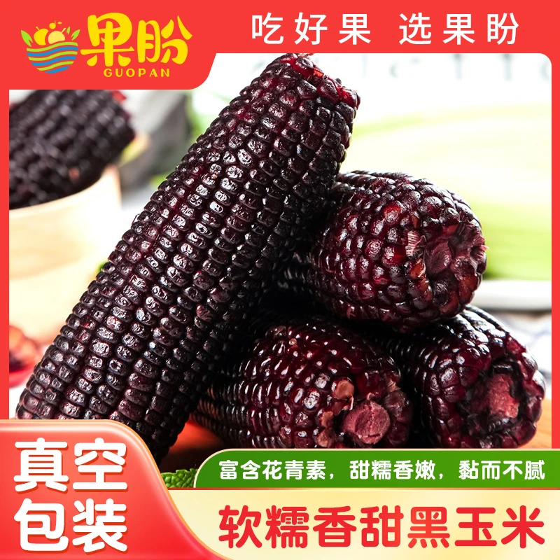 果盼黑玉米新鲜糯玉米山西黑糯玉米粒真空玉米10根整箱包邮