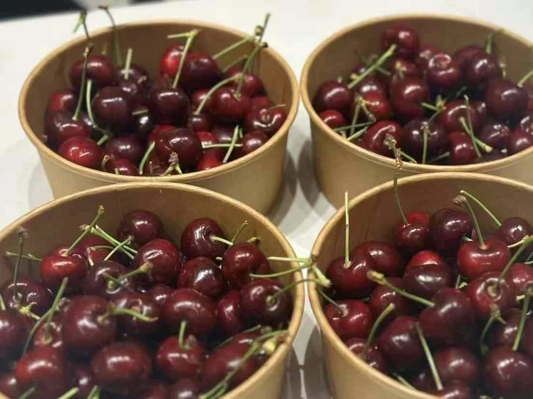 车厘子脆甜1斤500克xl