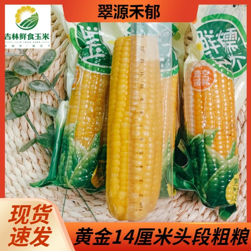 东北黄金14CM头段粗粮黄玉米12棒整箱2500克