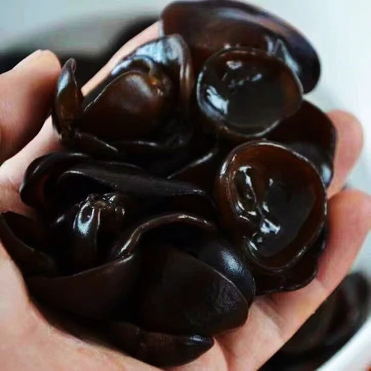 东北小碗耳长白山产地健康黑木耳木耳炒菜肉厚干净厚食材秋木耳