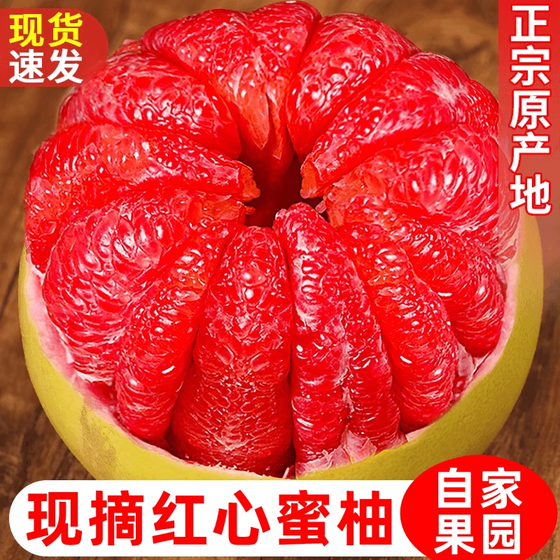 三红蜜柚红心蜜柚孕妇专属新鲜采摘尝鲜上市