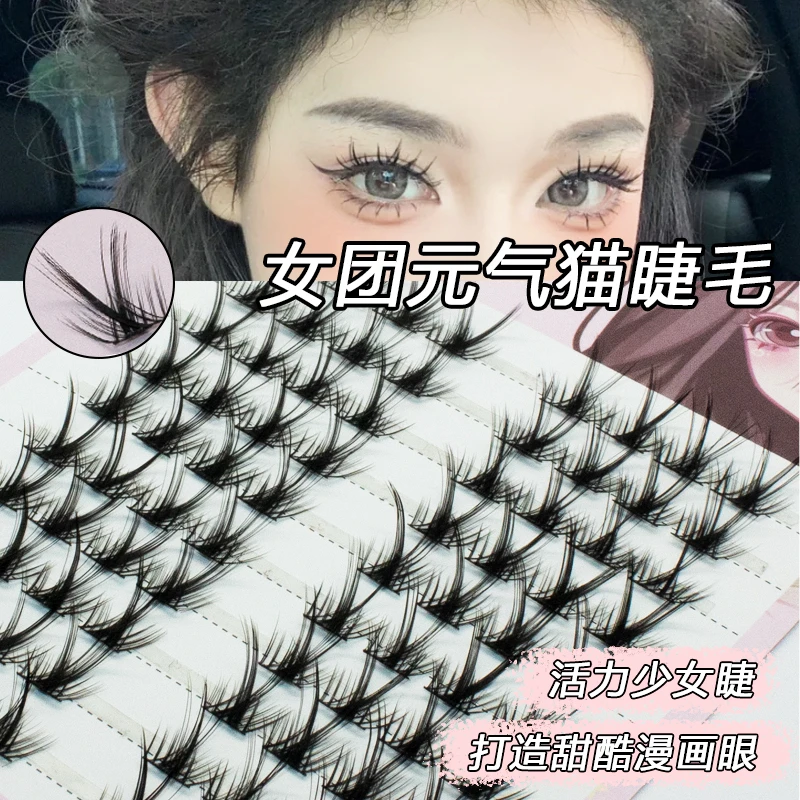 女团元气猫懒人系列欧美分段式假睫毛自然燕尾漫画眼活力单簇睫毛