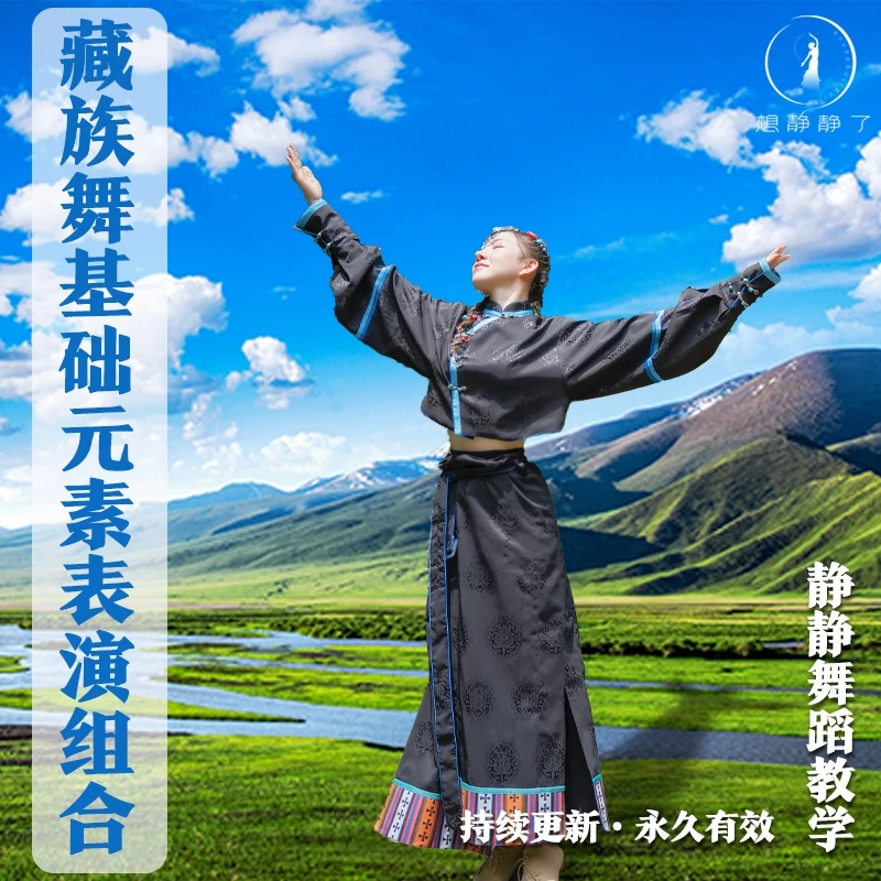 《藏族舞基础元素表演组合》舞蹈课程