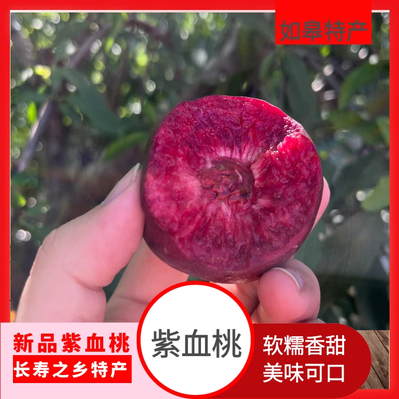 江苏高端甄选富硒紫桃新鲜正宗特产桃子多汁果园血桃尝鲜香甜苏超