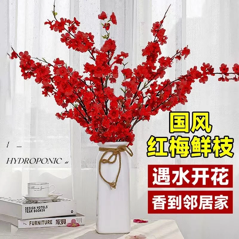 【遇水开花】新年装饰梅花枝清香开花冬季室内水培易活干枝耐寒花卉