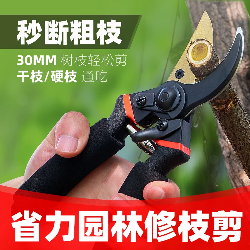 园艺强力剪刀SK5不锈钢树枝修剪工具剪花艺鲜花果树盆景植物