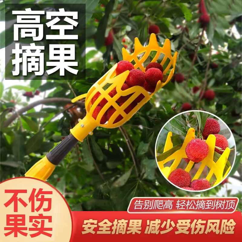 万能型摘果器摘枇杷摘杨梅工具高空伸缩杆摘果器李子水果摘果神器