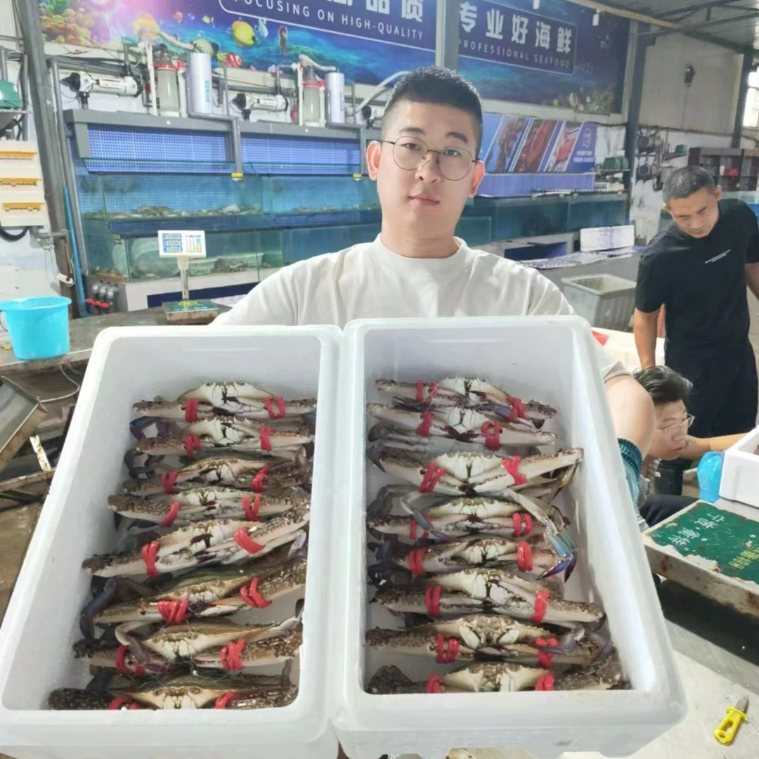 渤海湾本地活梭子蟹公蟹