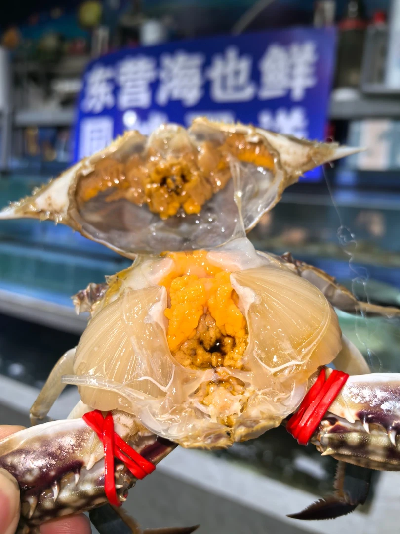 莱州带黄硬籽中母蟹（保鲜包肥不包活，个别掉夹）精品