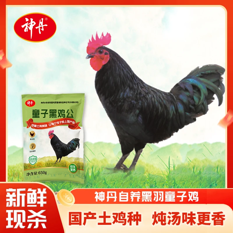 神丹黑羽鲜嫩童子鸡650g1只装