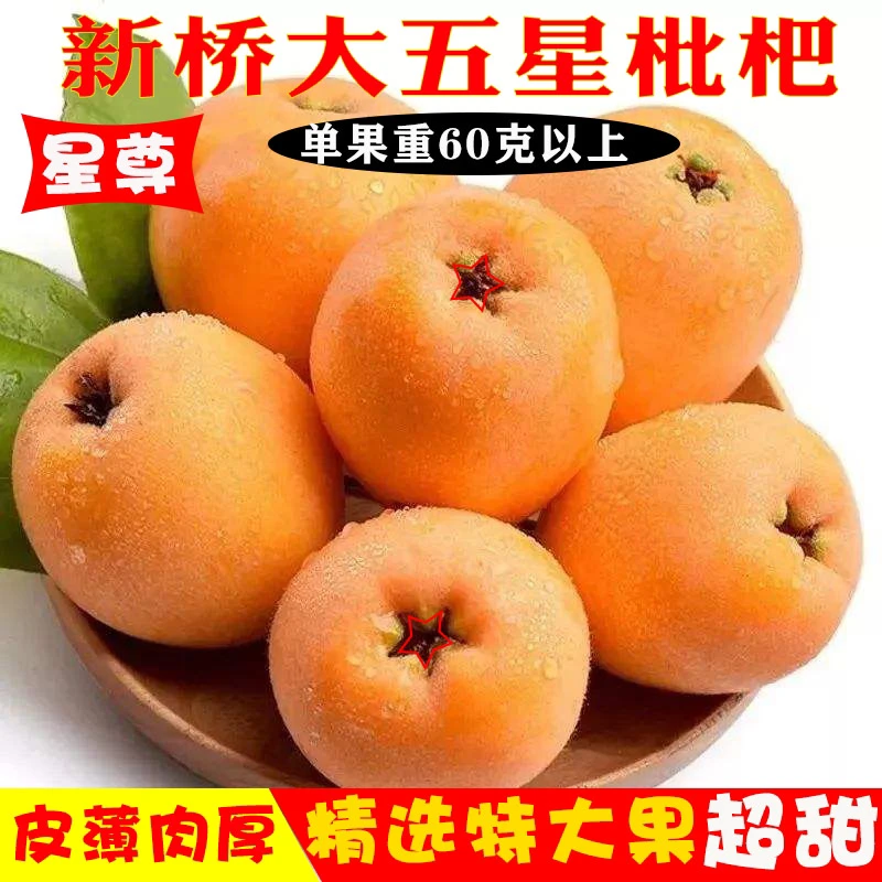 【星尊】特大果新鲜单果60g琵琶水果新桥大五星枇杷鲜果【顺丰发货】