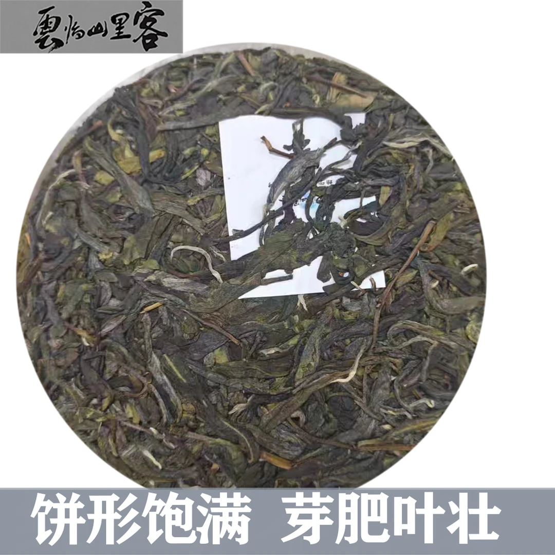 2023年永德大雪山古树头春200克饼【普洱生茶】