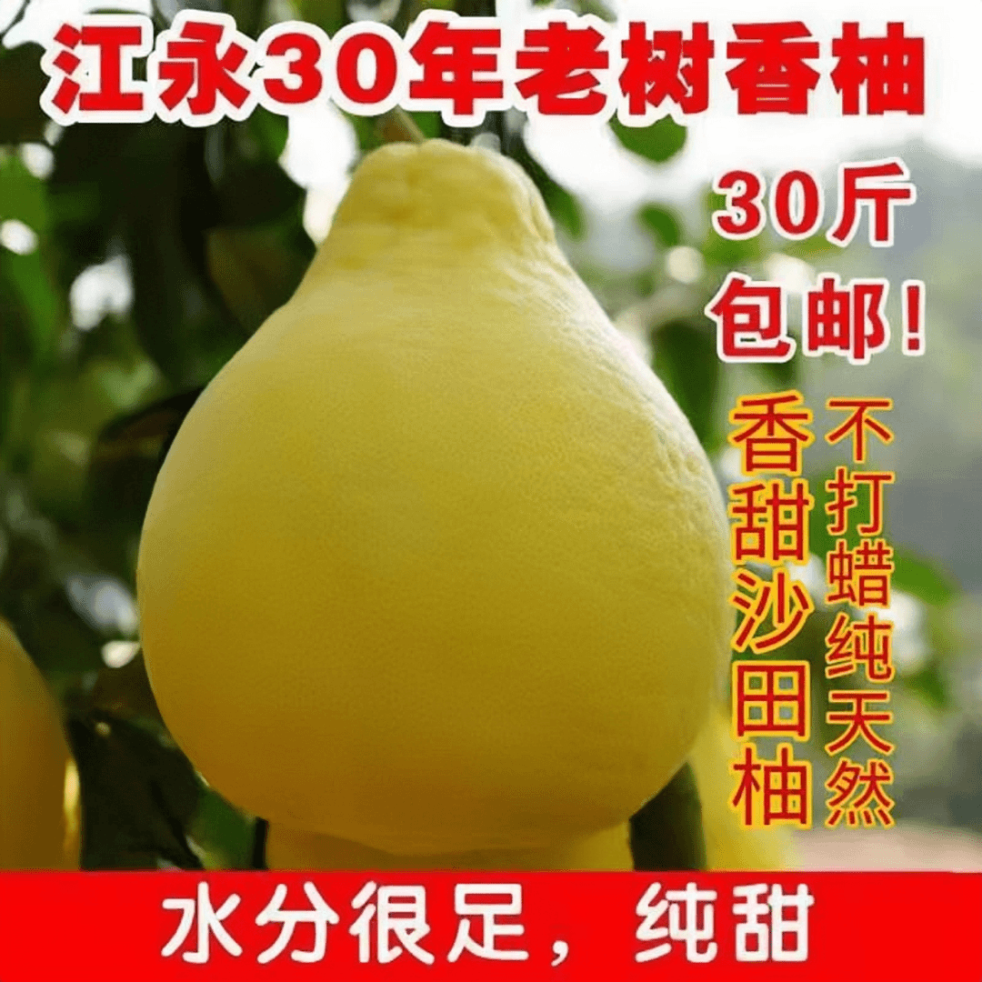 正宗湖南江永香柚新鲜纯甜无酸老树沙田柚冰糖柚甜蜜爆汁水果特产