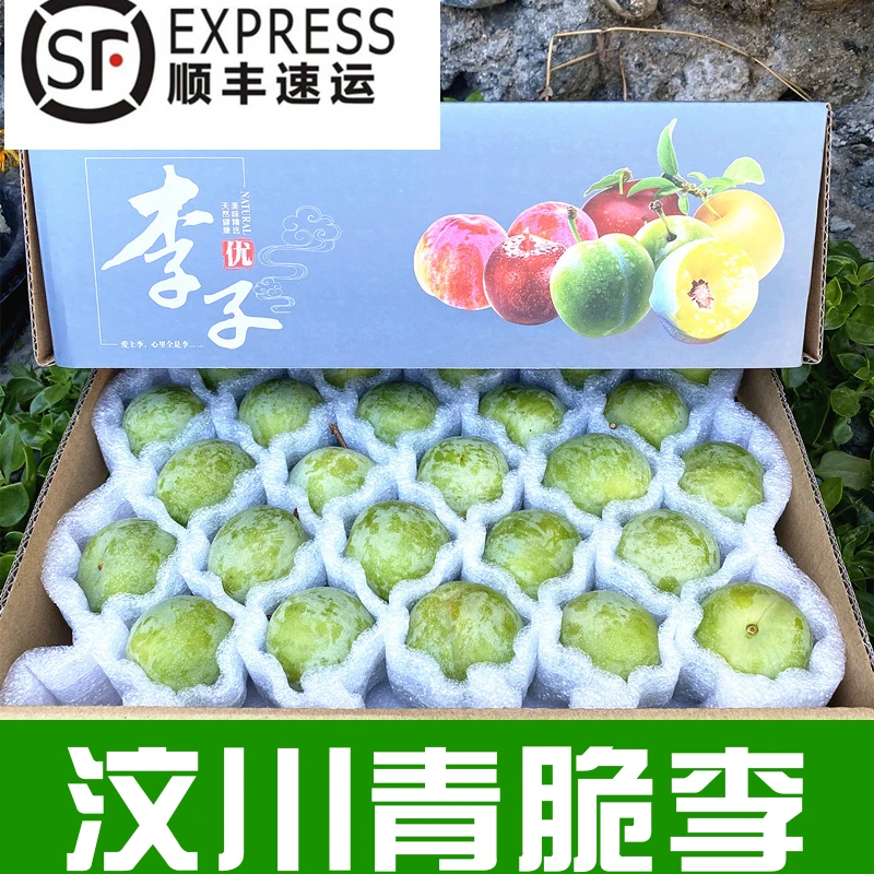 【唯果多】顺丰包邮四川汶川茂县高山青脆脱骨李现摘现发