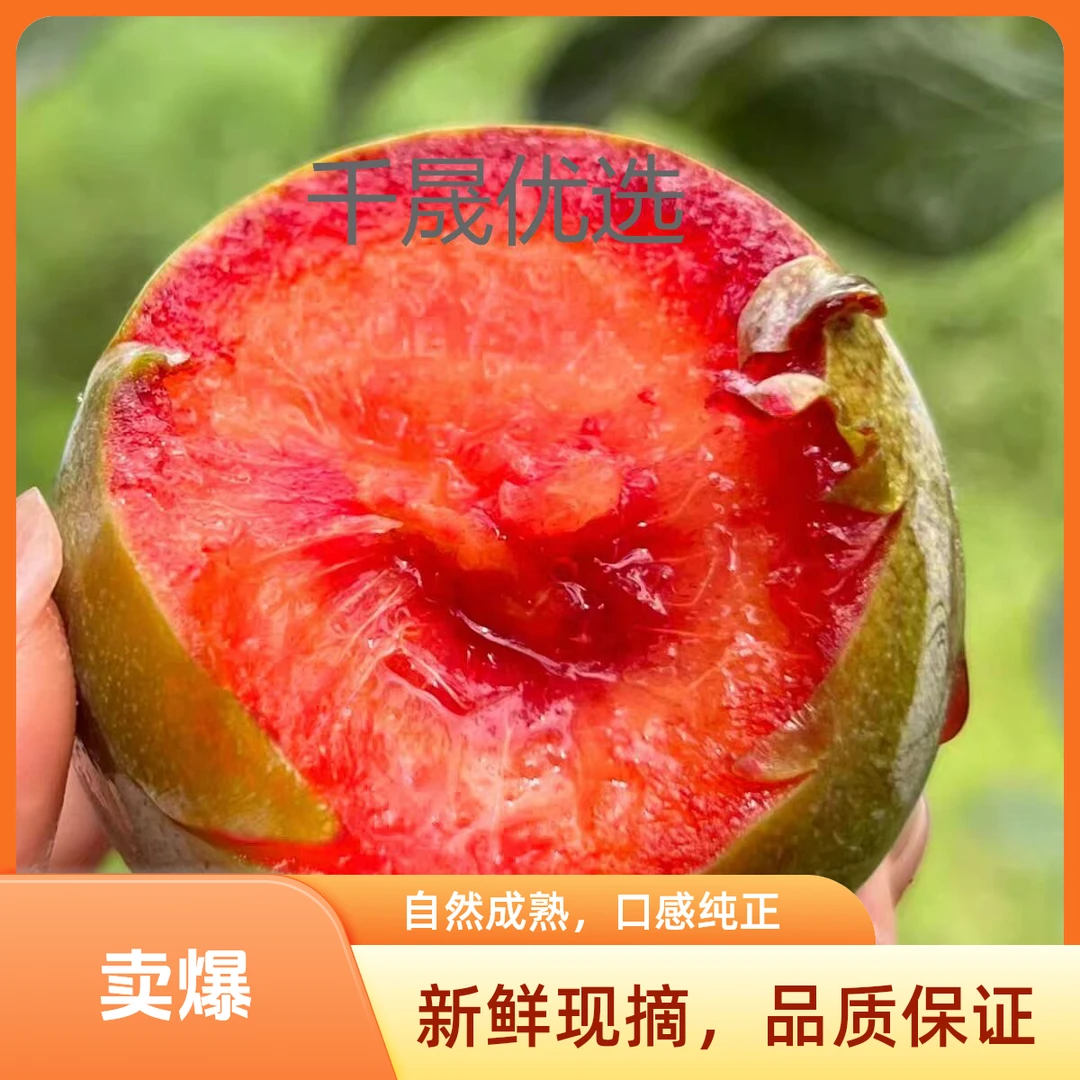 【顺丰冷链】新疆恐龙蛋新鲜现摘高档水果肉厚采摘酸甜多汁产地应季