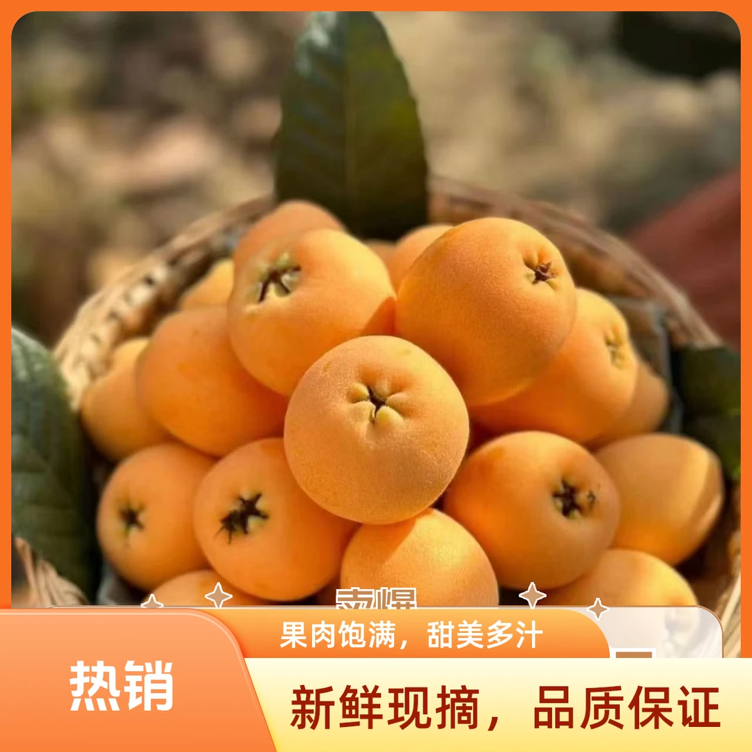 正宗云南蒙自枇杷当季现摘新鲜水果精选采摘甄选皮薄多汁产地品质
