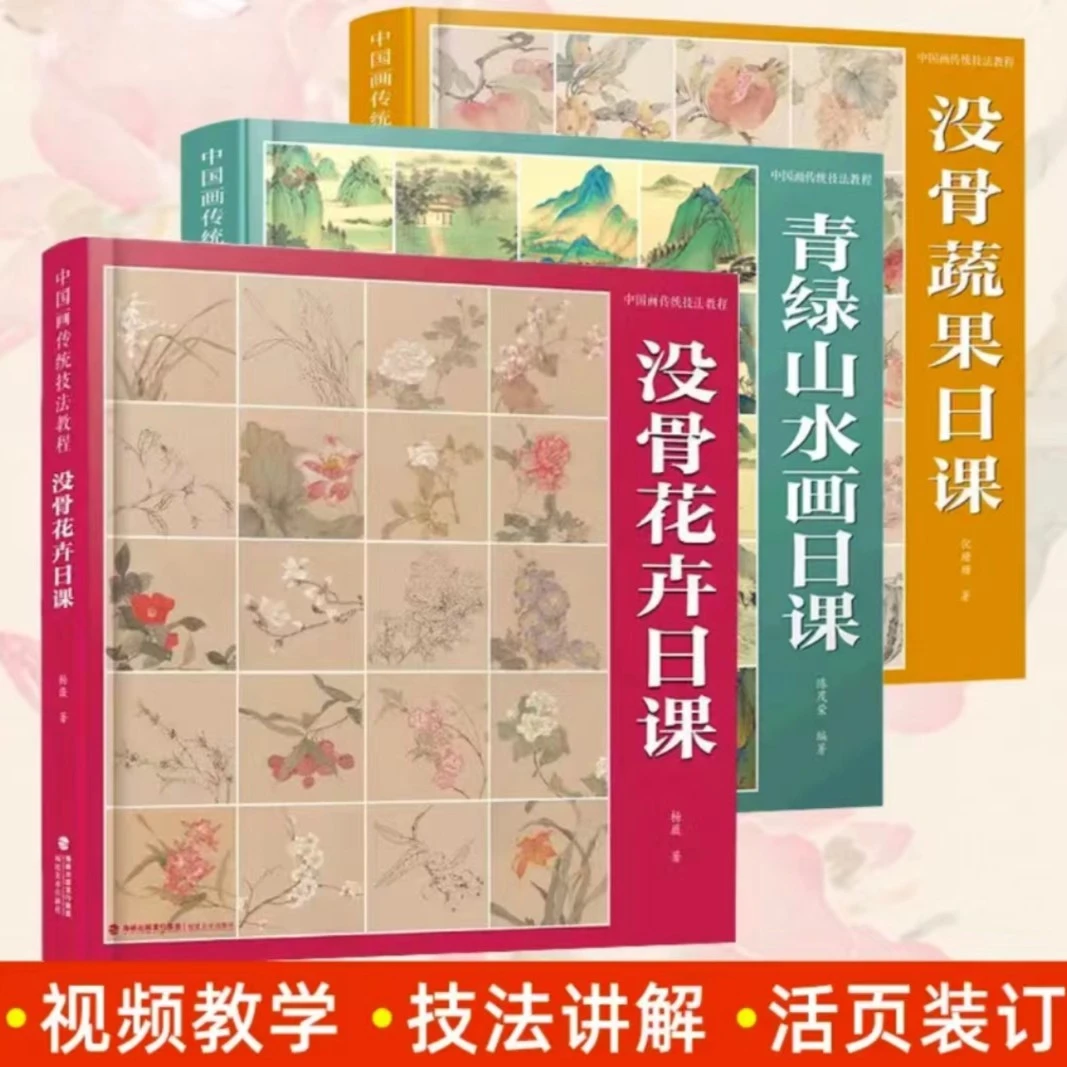 【视频教程】中国画传统技法教程3册 没骨花卉蔬果山水从入门到精通