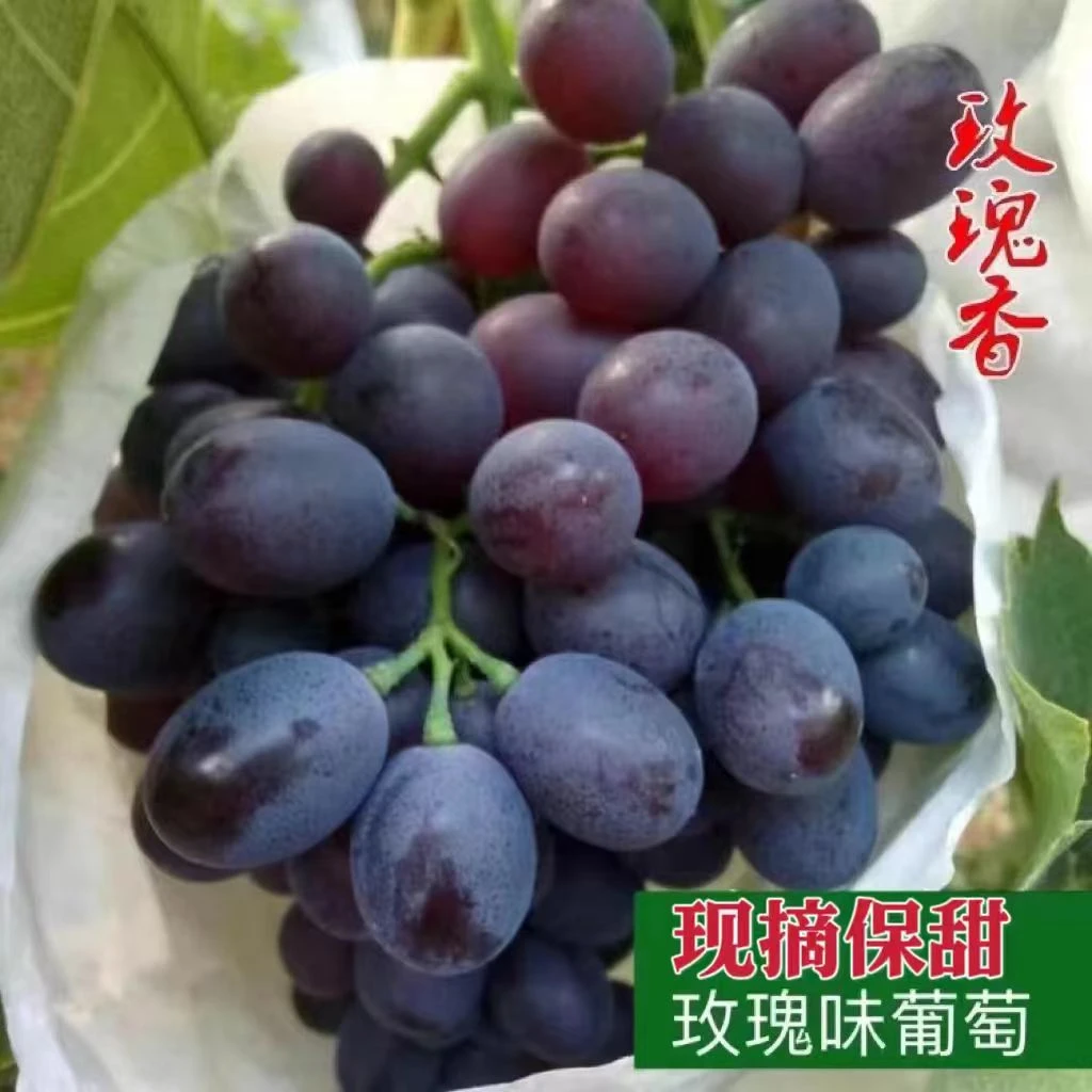 【3斤装】玫瑰香葡萄自然成熟