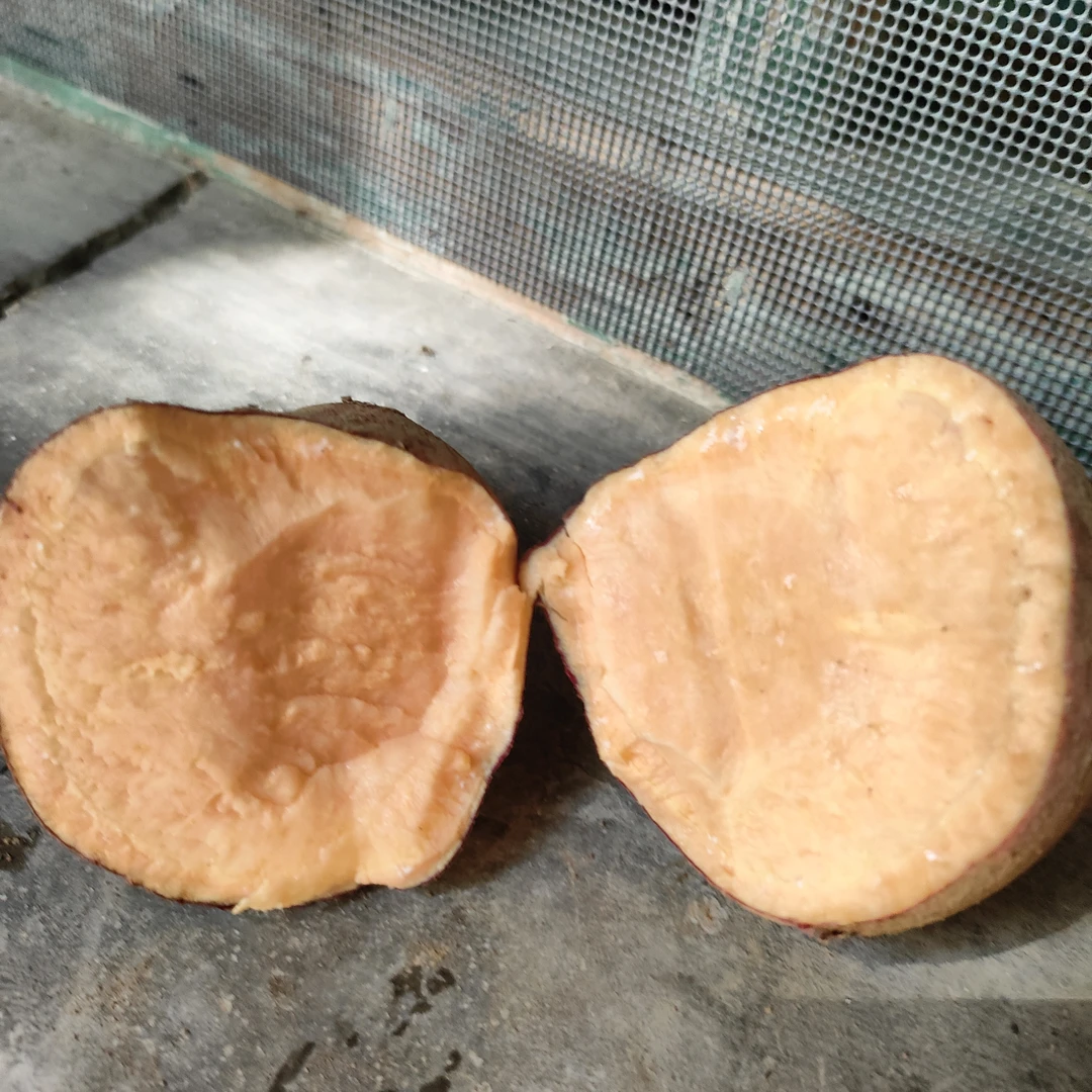 农家新鲜香甜可口红薯红皮黄心番薯现挖现发5斤包邮