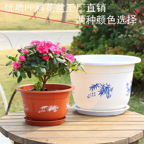 花盆大号塑料特大号带托盘圆形仿陶瓷多肉绿萝林木盆客厅塑料