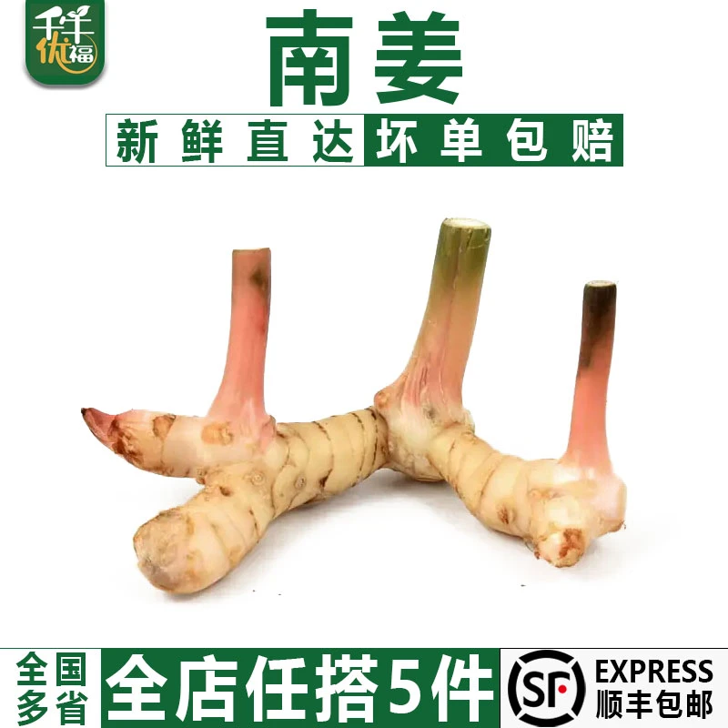 千牛优福南姜500g 新鲜芦苇姜 泰式冬阴功汤调料火锅底料生姜