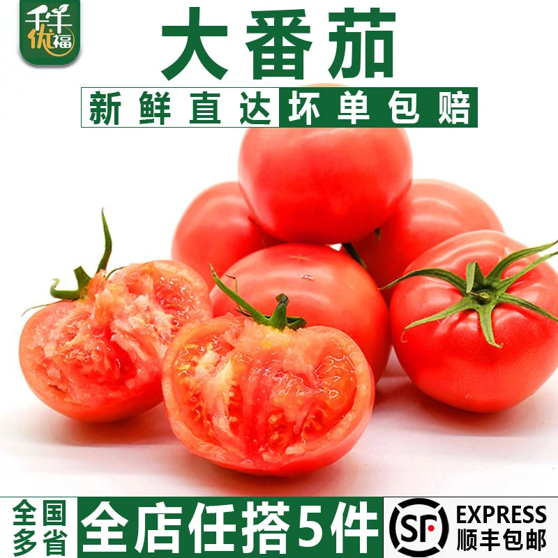 千牛优福西红柿500g 新鲜大番茄沙瓤可生吃自然熟孕妇水果小粉