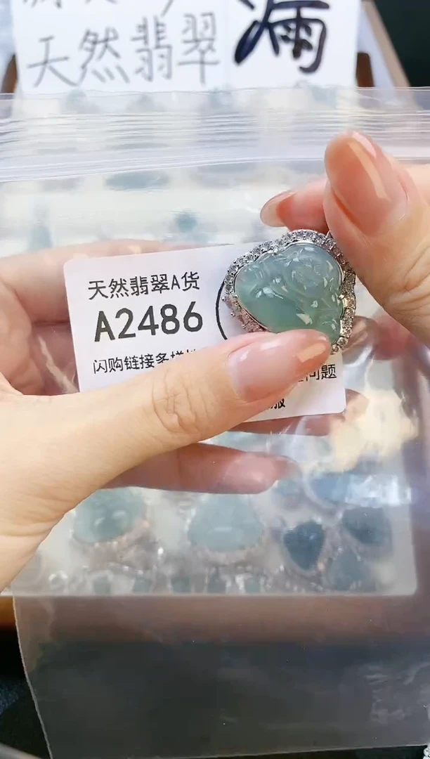 【闪购商品】翡翠颈饰未镶嵌天然翡翠A货8888