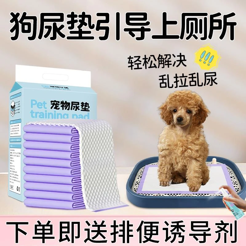 爆款推荐狗尿垫引导上厕所固定点排大小便尿片狗狗诱导剂尿垫加厚