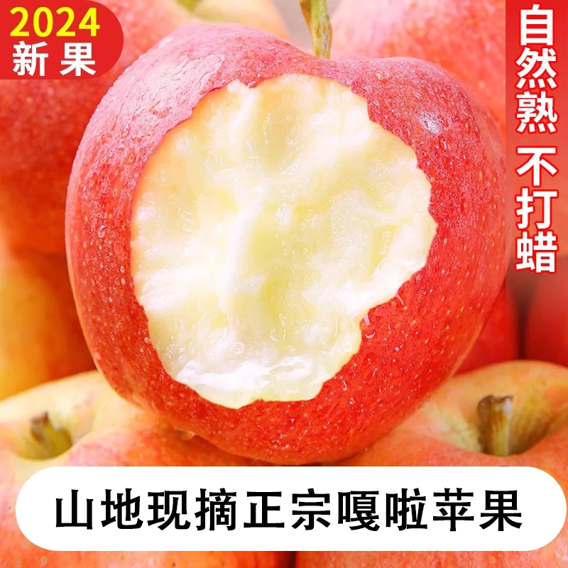陕西应季现摘嘎啦苹果脆甜宝宝果红富士苹果粉面甜苹果5斤/9斤