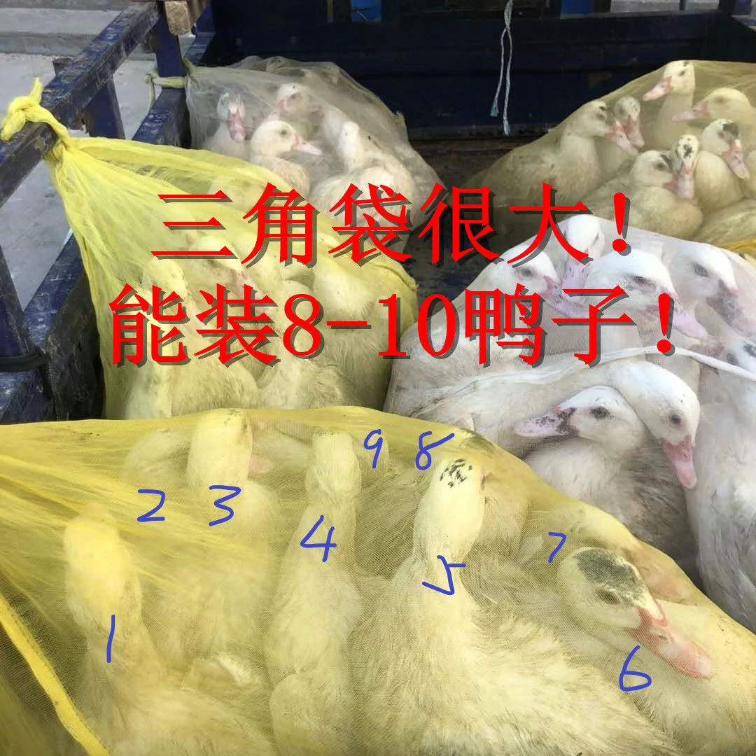 装活鸡鸭鹅三角型纱网袋装活禽加密大号网袋农用家禽花蛤小网眼袋