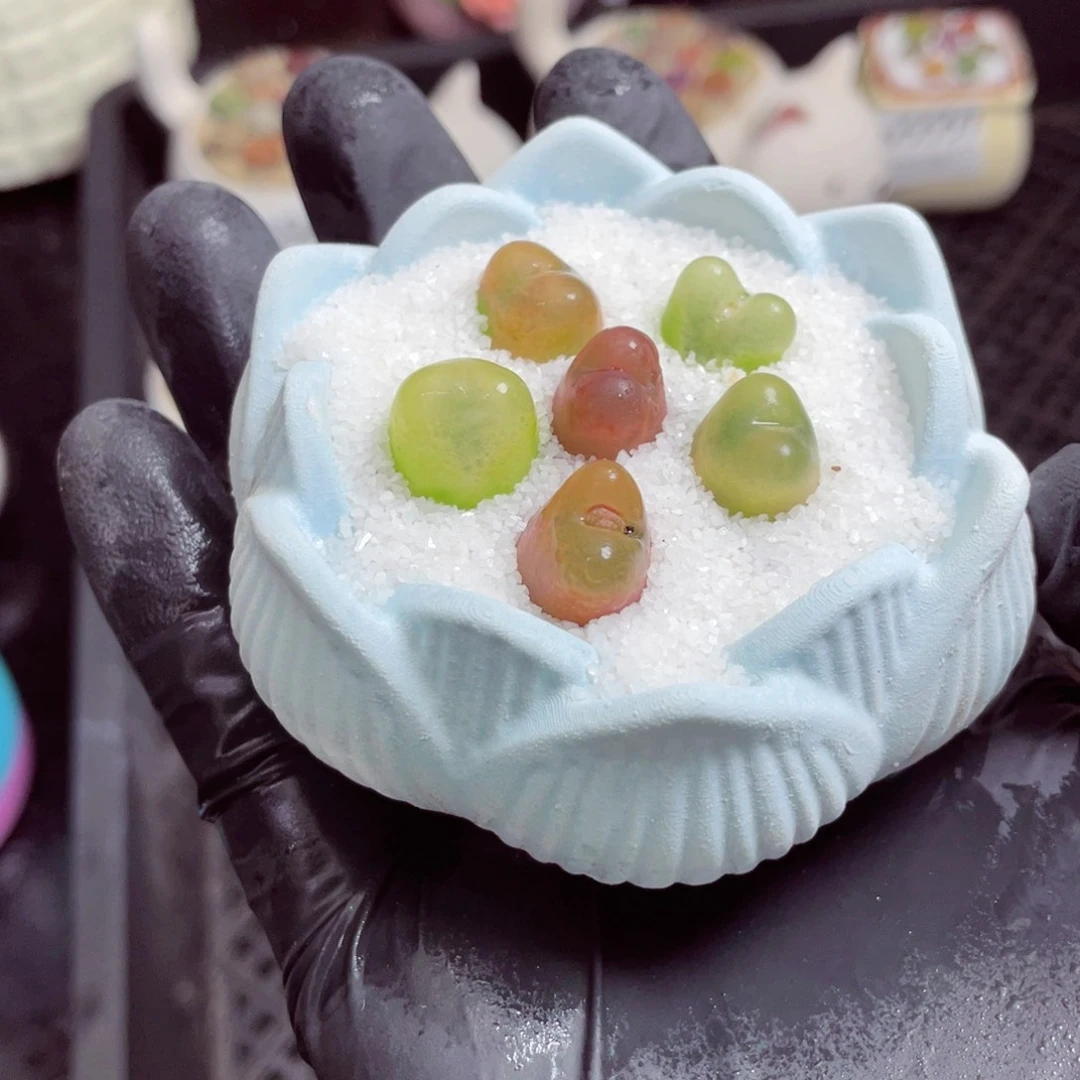 w5559--带盆土发货