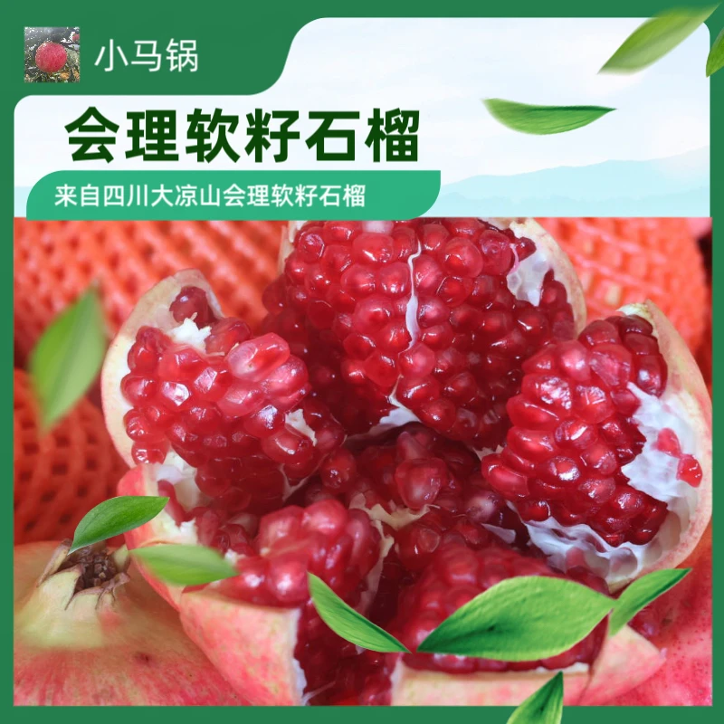 四川大凉山会理软籽石榴3斤5斤8斤原产地发货应季无籽