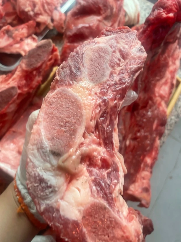 新鲜带肉牛胸骨