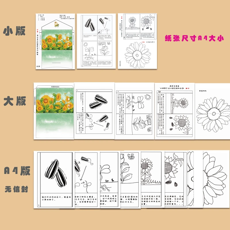 涂色绘本培养儿童幼儿动物熊猫成长系列作业模版DIY手工科普涂色
