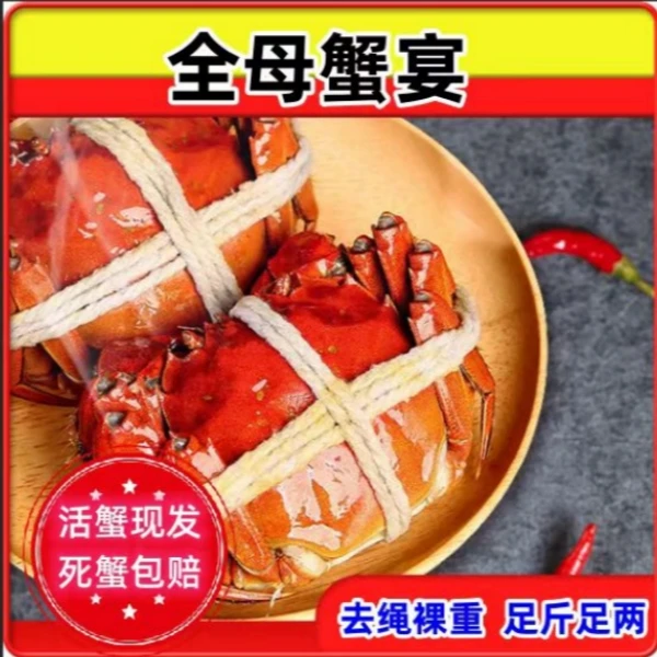 【活蟹现发】8只装-10只装全母2母(2.1-1.8两)精品活蟹现发